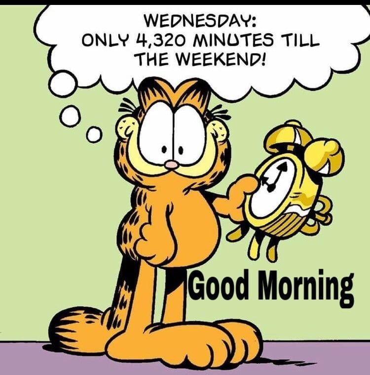 Funny Good Morning Wednesday
