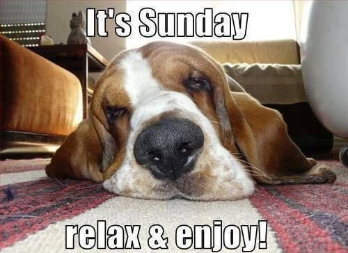 Good Morning Sunday Wishes In Funny