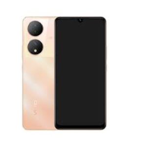 vivo Y100t